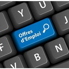 Comment a évolué l'emploi entre 2011 et 2012 en France et dans le secteur privé ?