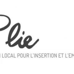 Plan Local pour l'Insertion et l'Emploi
