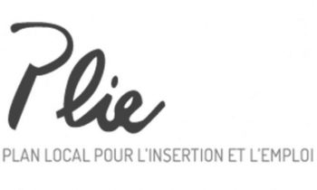 Plan Local pour l'Insertion et l'Emploi