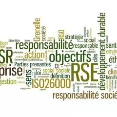 Responsabilité Sociétale des Entreprises