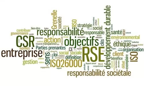 Responsabilité Sociétale des Entreprises Responsabilité Sociétale des Entreprises