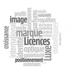 La licence de marque