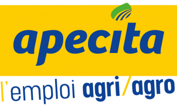 Apecita