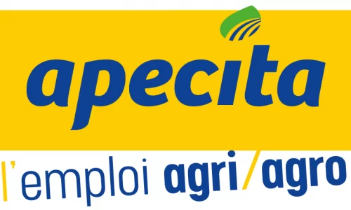 Apecita Apecita