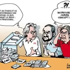 L'organisation professionnelle
