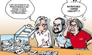 L'organisation professionnelle