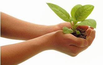 Développement durable en entreprise, contributeur de réussite !