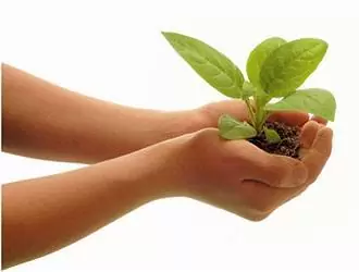 Développement durable en entreprise, contributeur de réussite ! Développement durable en entreprise, contributeur de réussite !