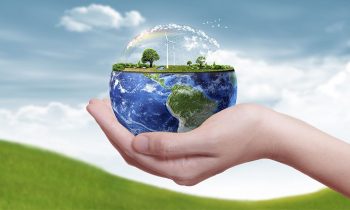 Travailler dans le développement durable
