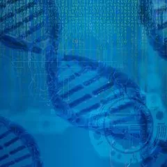 Bio-informaticien : études, diplômes, métier, salaire, formation