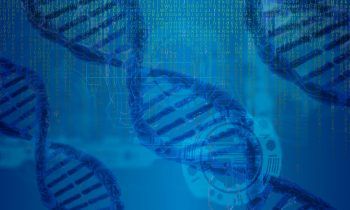 Bio-informaticien : études, diplômes, métier, salaire, formation