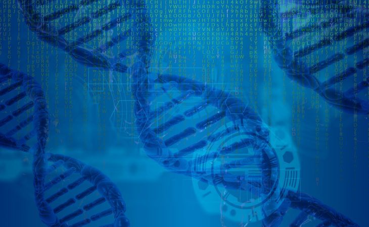 Bio-informaticien : études, diplômes, métier, salaire, formation