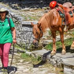 Accompagnateur de tourisme équestre : études, métier, salaire et formation