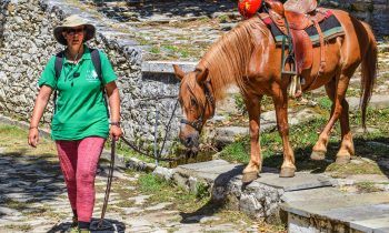 Accompagnateur de tourisme équestre : études, métier, salaire et formation