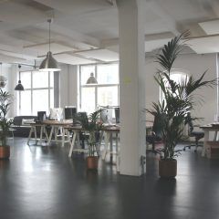 Coup de frein sur l’emploi en France d&rsquo;après l&rsquo;Insee