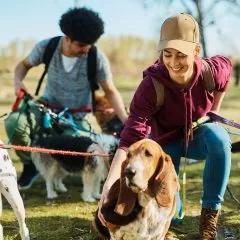 Pet sitter, études, diplômes, statut, salaire, formation