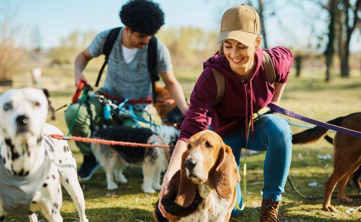 Pet sitter, études, diplômes, statut, salaire, formation