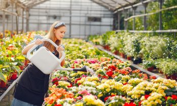 Règles d&rsquo;or pour vous aider à briller lors de votre premier emploi saisonnier