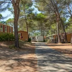 Gérant de camping : études, diplômes, statut, salaire, formation