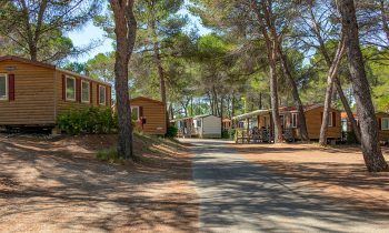 Gérant de camping : études, diplômes, statut, salaire, formation