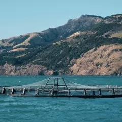 Aquaculteur : études, diplômes, statut, salaire, formation