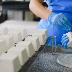 Fromager : études, diplômes, statut, salaire, formation